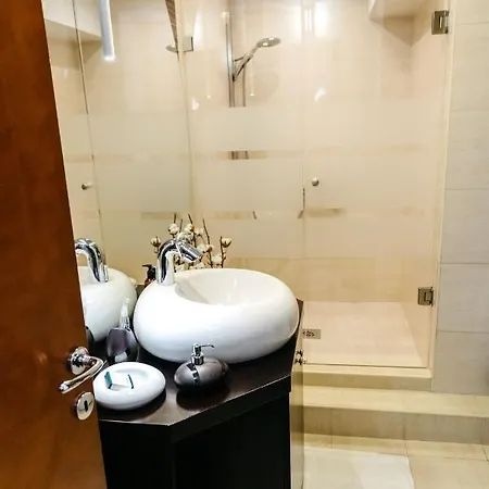 아파트 Rosewood 포드고리차