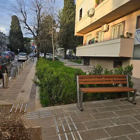 아파트 Rosewood 포드고리차